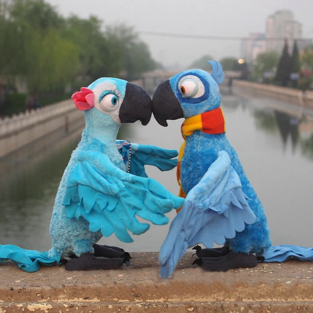 28cm Anime Rio Blu En Jewel Papegaai De Film Rio 2 Pluche Soft Gevulde Pop Speelgoed Aliexpress Mobile