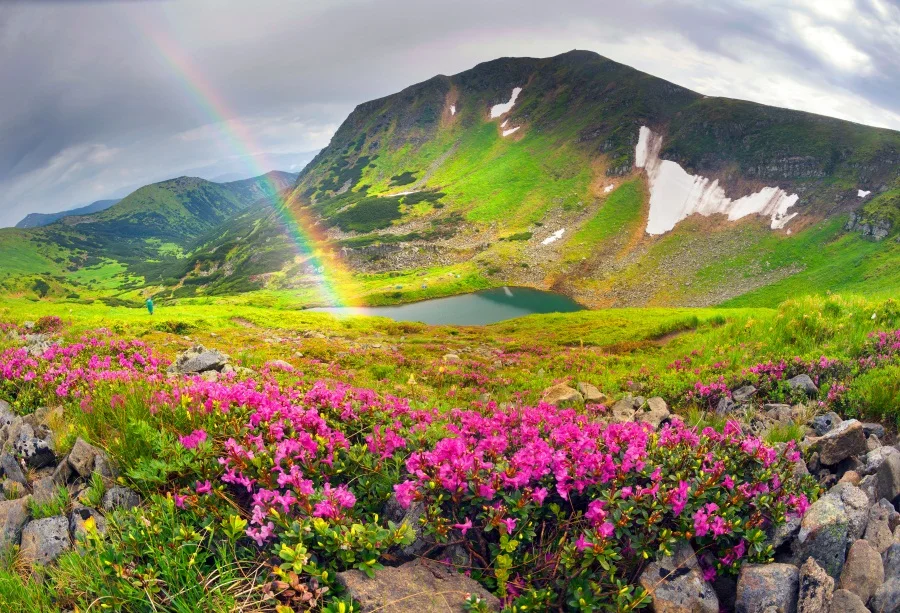 Laeacco Весна Mountain цветущие цветы Радуга живописные фотографии фон Индивидуальные