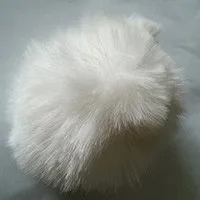 white wind fur