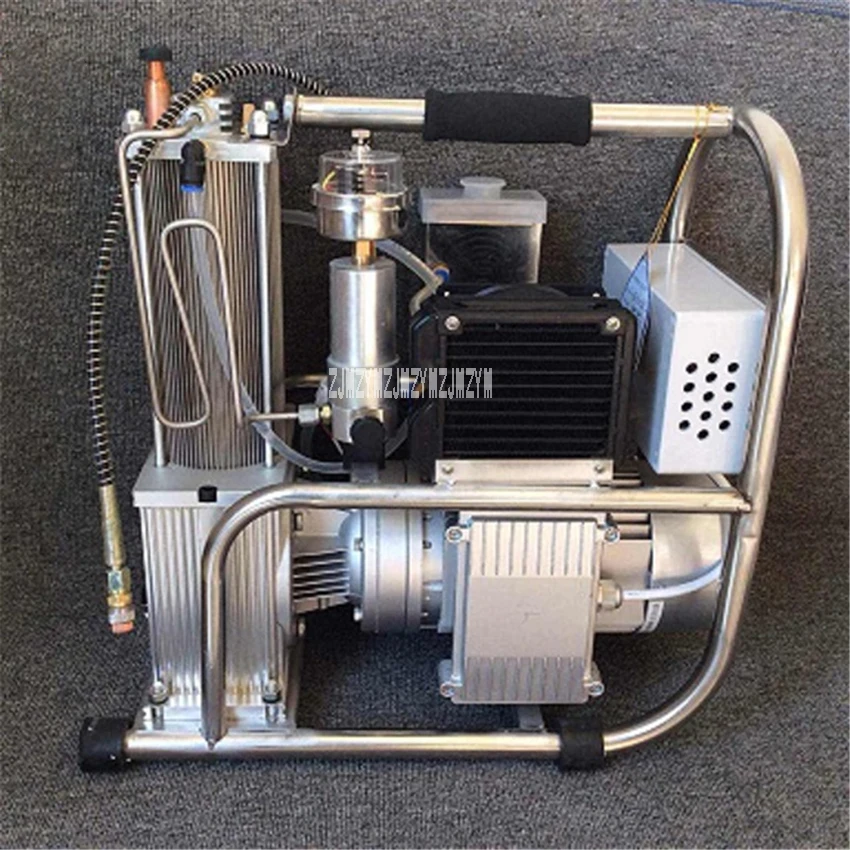 High Pressure Air Pump Water Cooled Air Cooled Air Compressor 6th Generation Electric Air Compressor 220V 900W 1400r/min 0-40MPA