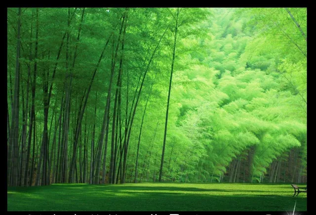Unduh 8000+ Wallpaper 3d High Quality Gratis Unduh 8000+ Wallpaper 3d High Quality Gratis