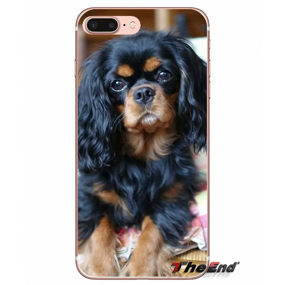 Чехол для Samsung Galaxy Note 3 4 5 Grand Core Prime S3 S4 S5 MINI S6 S7 edge S8 S9 Plus Cavalier King Charles Spaniel