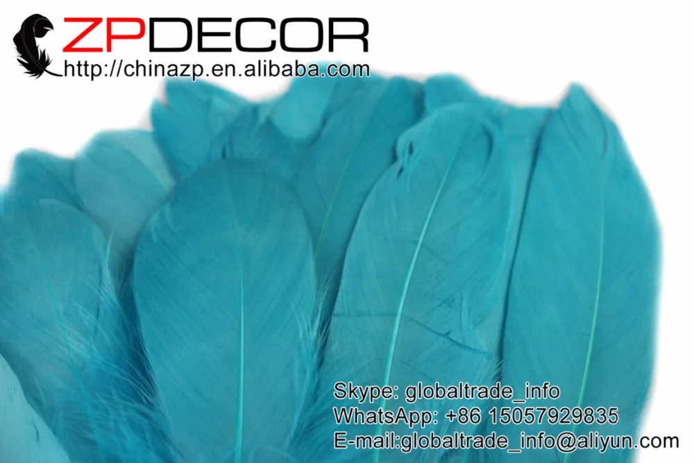 blue goose feathers (5)