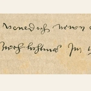 Handwriting Sample And Signature Of Albrecht D Poster Print (36 x 11)