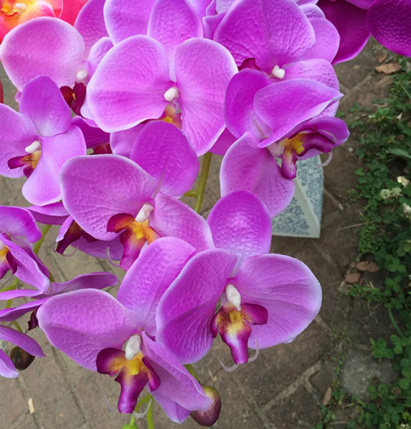 Fake Orchid Flower Fake Phalaenopsis 8 Heads for Wedding Centerpieces