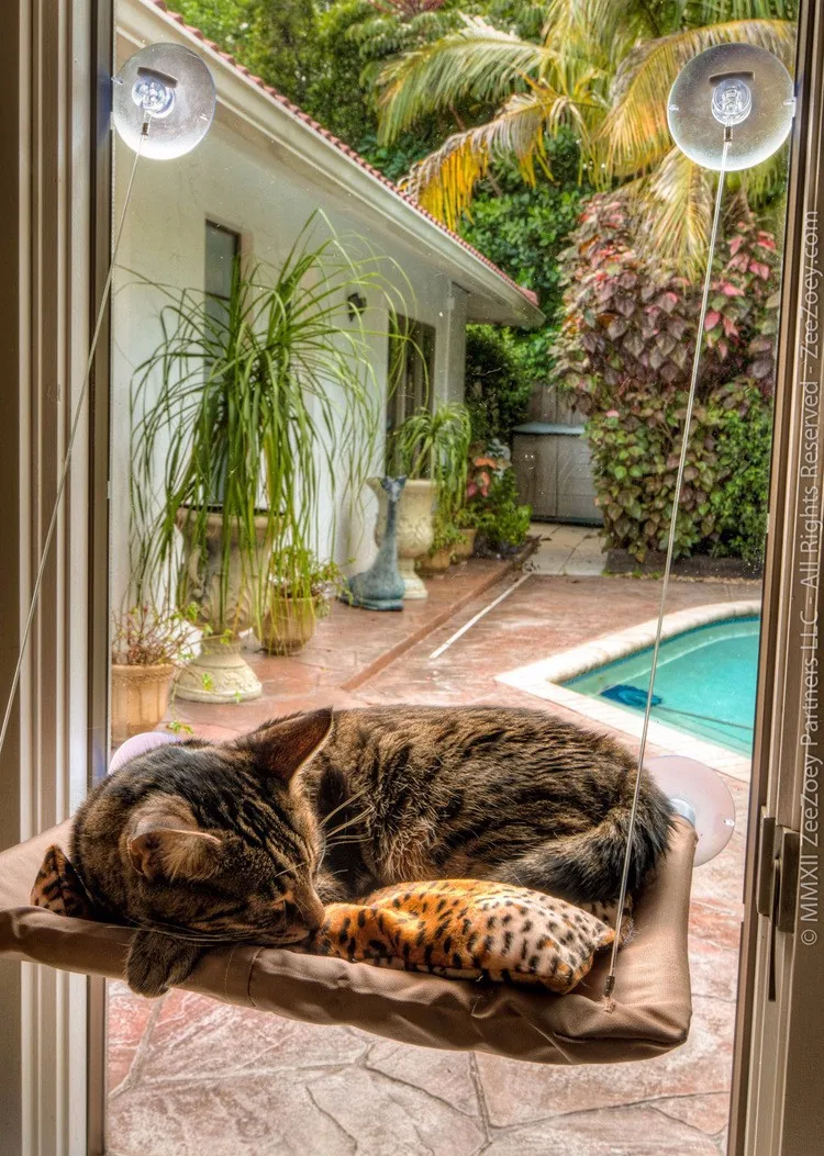 APAULAPET ТВ на окно установленная кошка кровать подвесная койка для животных Вакуумная присоска гнездо для домашних животных солнечное сиденье кошка кровать солнечное сиденье Machi