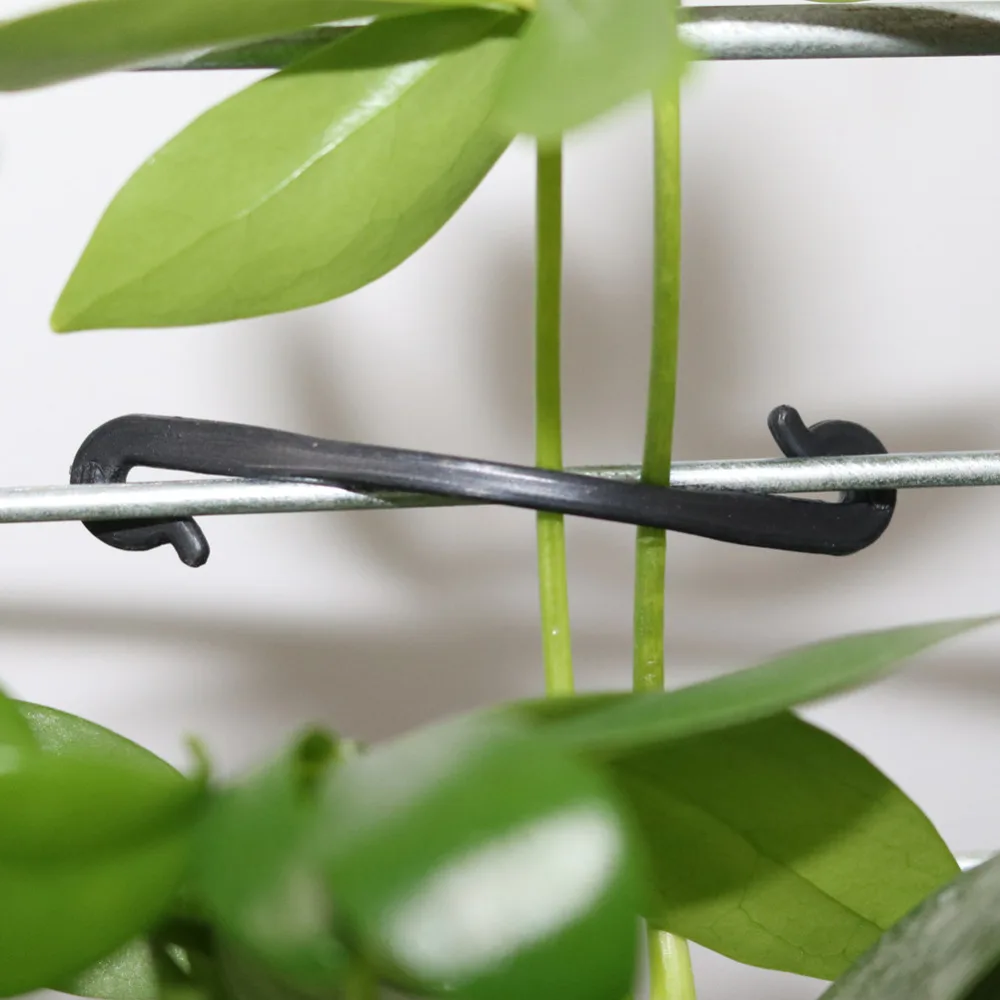 Plant Vines Fastener Tied Buckle Hook Garden Tools Grape Support Vine Grafting Clips Vegetables Fixed Buckle Hook 50 Pcs