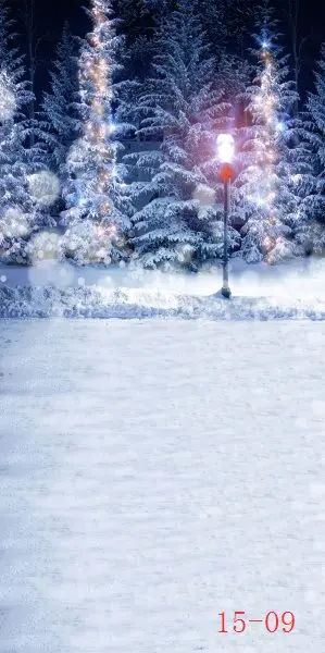 

SHANNY Vinyl Custom Photography Backdrops Prop Digital printed Winter theme Photo Studio Vertical Background 15-09