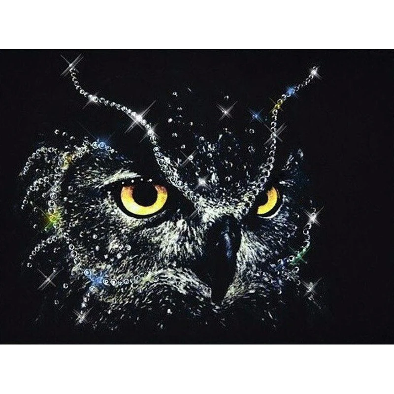 Full SquareRound Drill 5D DIY Diamond Painting owl 3D Embroidery Cross Stitch Mosaic Home Decor ZH | Дом и сад