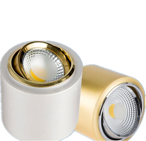 

Free Shipping New Arrival 10W/15W COB Surface Mounted LED Downlights Gold/Silver Housing Color Led down lamp AC85-265V CE/ROHS