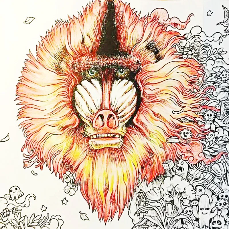 

Animorphia Coloring Book For Children Adult An Extreme Coloring And Search Challenge Painting Drawing Creative Colouring Books