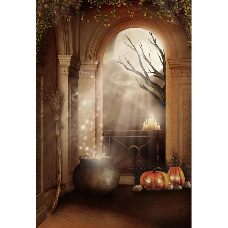 

Vintage Backdrop Palace Door Photography Art Photo Backgrounds For Wedding Halloween Backgrounds