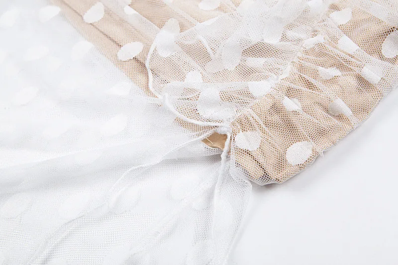 mesh dot midi elegant dress13