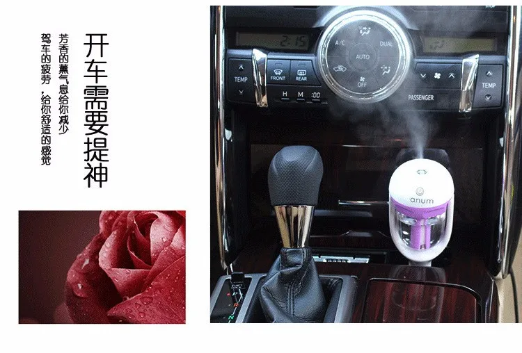WT01 (11)