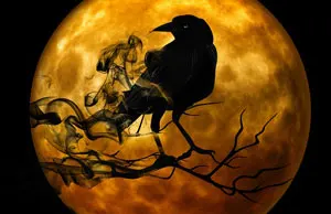 raven-988218_640-pixabay