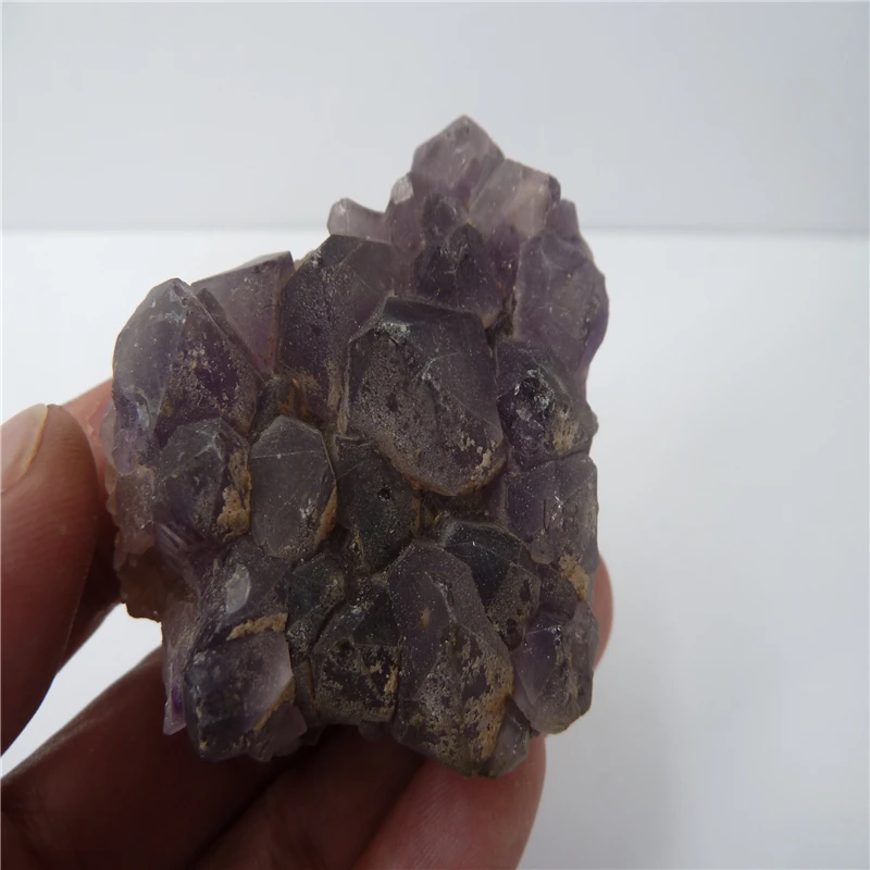 P1500453
