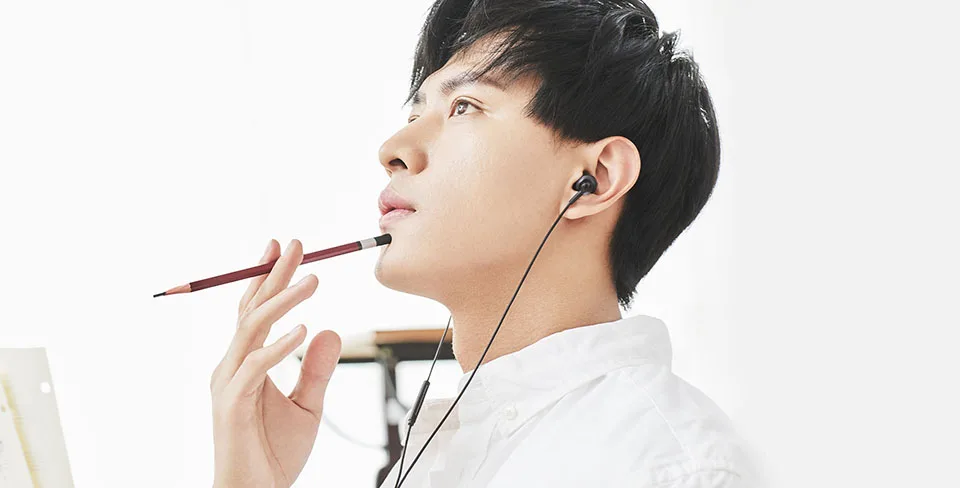 Mi Dual Driver Earphones