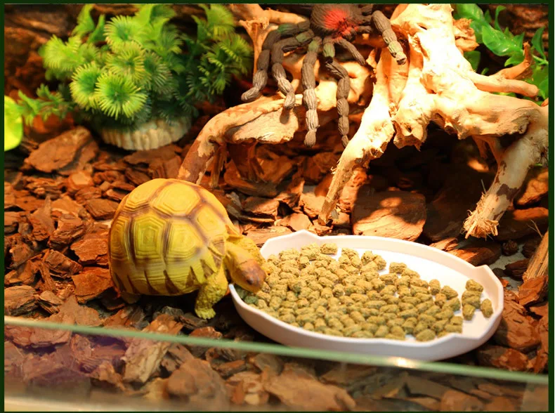 3268395526_182369708