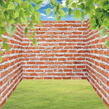 

Laeacco Photography Background Unique 3D Brick Wall Green Grass Vine Blue Sky Baby Doll Scenic Photo Backdrop Photo Studio