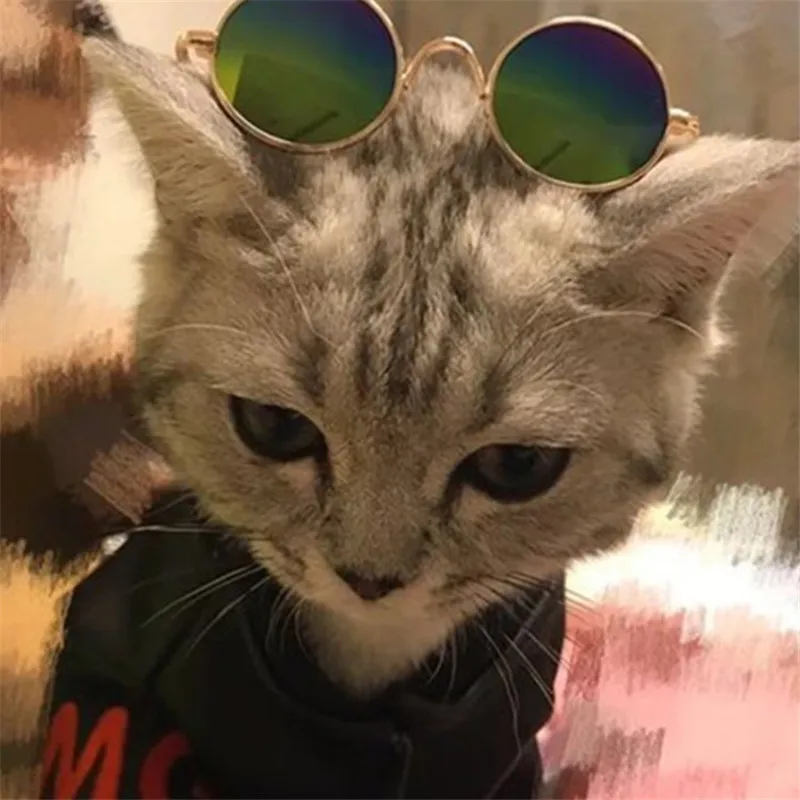 1pcs Lovely Pet puppy kitten sunglasses Fashion Cat Sunglasses Pet