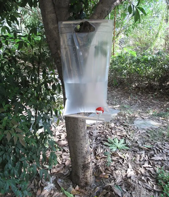 ) (3)