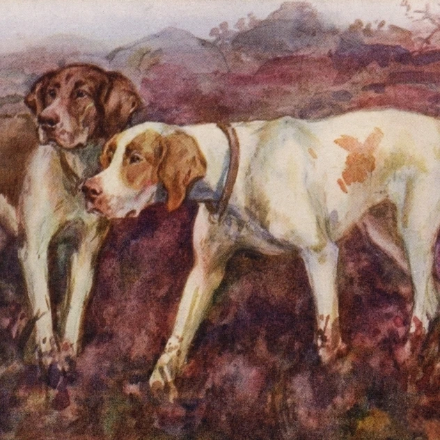 Pointers Poster Print By Mary Evans Picture Librarypeter & Dawn Cope Collection (36 X 24)