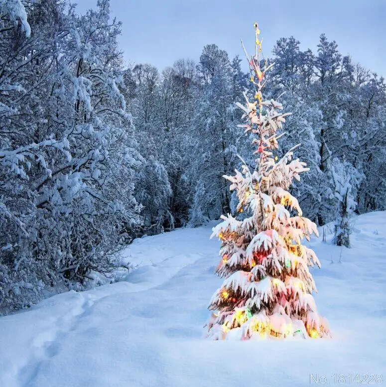 3x5ft snow winter forest field baubles christmas tree christmas forest background