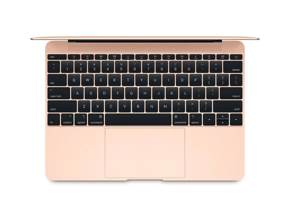 Apple MacBook 7 го поколения Intel® Core™ i5 1 3 ГГц 30 5 см (12 &quot) 2304x1440 пикселей 8 ГБ 512