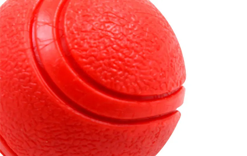 04 dog ball 