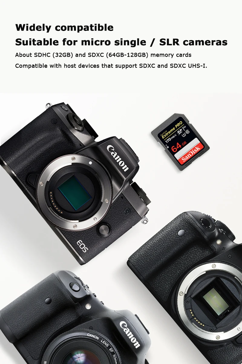 SD 170MB 64GB 05