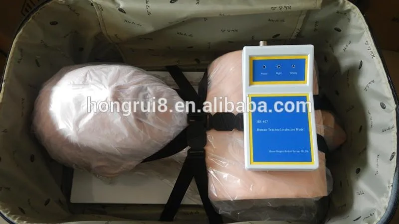 407 intubation training model