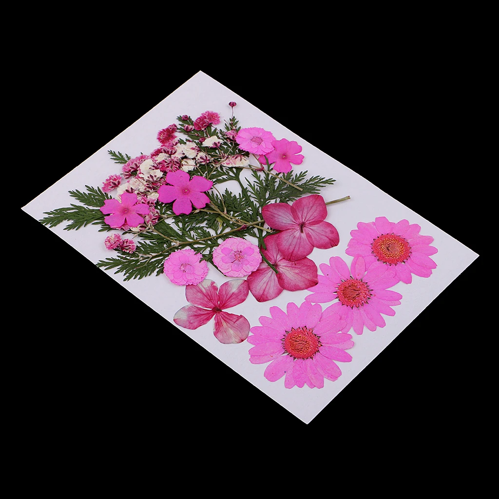 Lot Pack Natural Press Leaves Pressed Real Dried Flowers Dry Leaves for DIY Scrapbooking Arts Crafts Bookmark Card Making