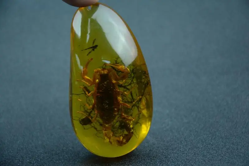 

Rare natural amber scorpion pendant internalization,best collection&adornment,free shipping