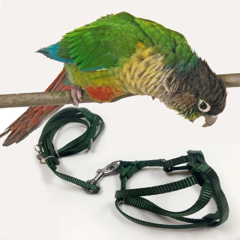 Pet Bird Leash Outdoor Adjustable Harness Training Rope Anti Bite