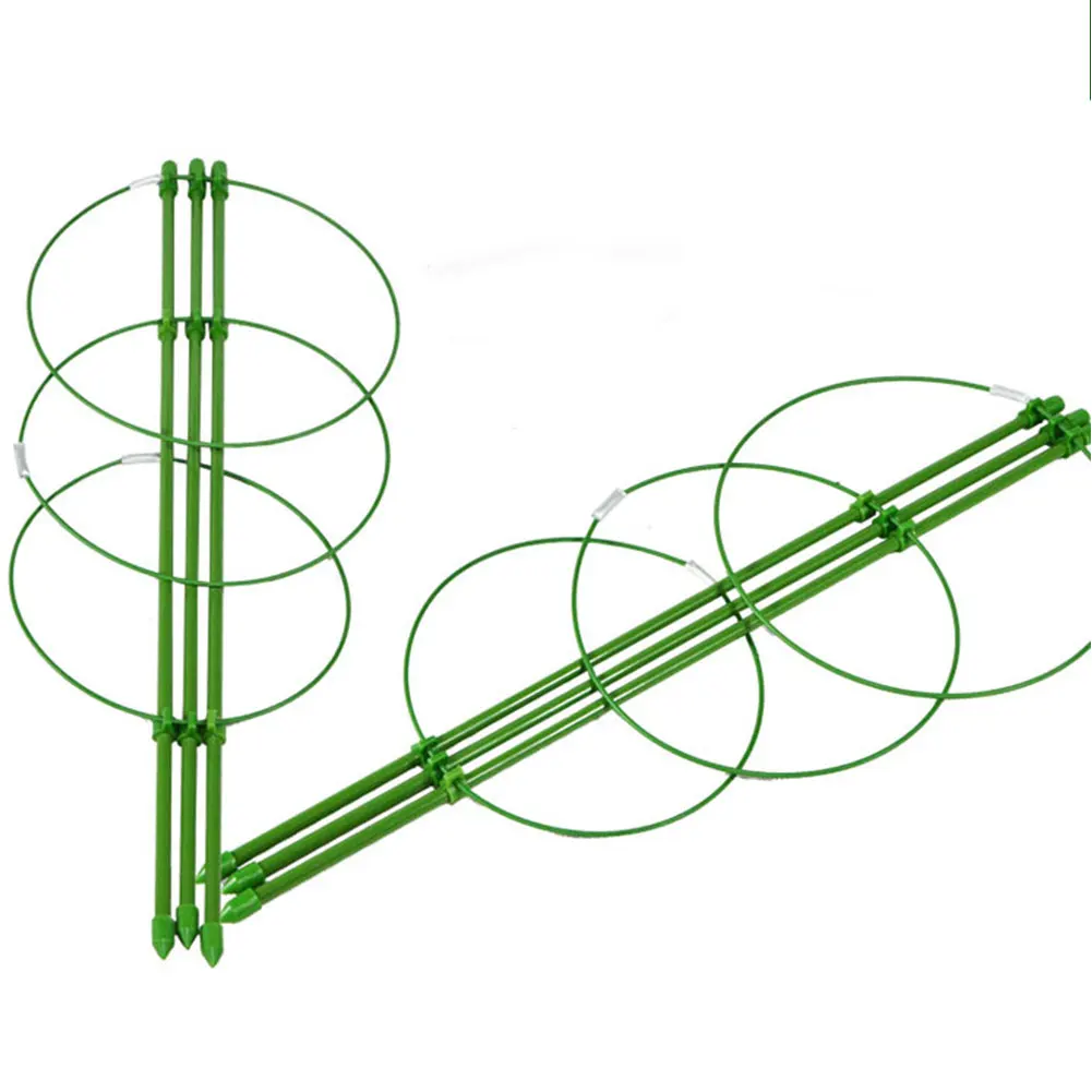 

Creative Horticultural Vegetable Plant Support Netting for Home Climbing with Grape-vine Flowers