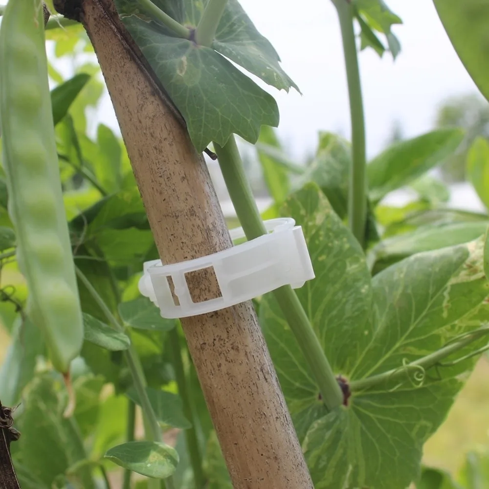 Vegetable Garden Plant Support Clips For Trellis Twine Greenhouse