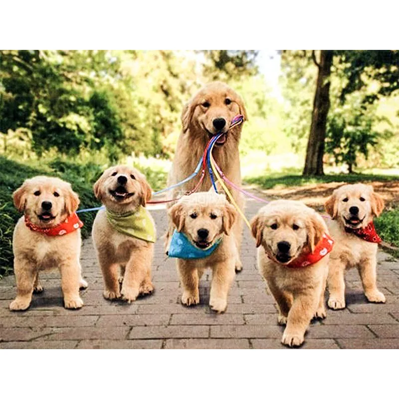 

5D DIY diamond painting cute dog lead puppy full drill square round diamond embroidery cross stitch rhinesto mosaic