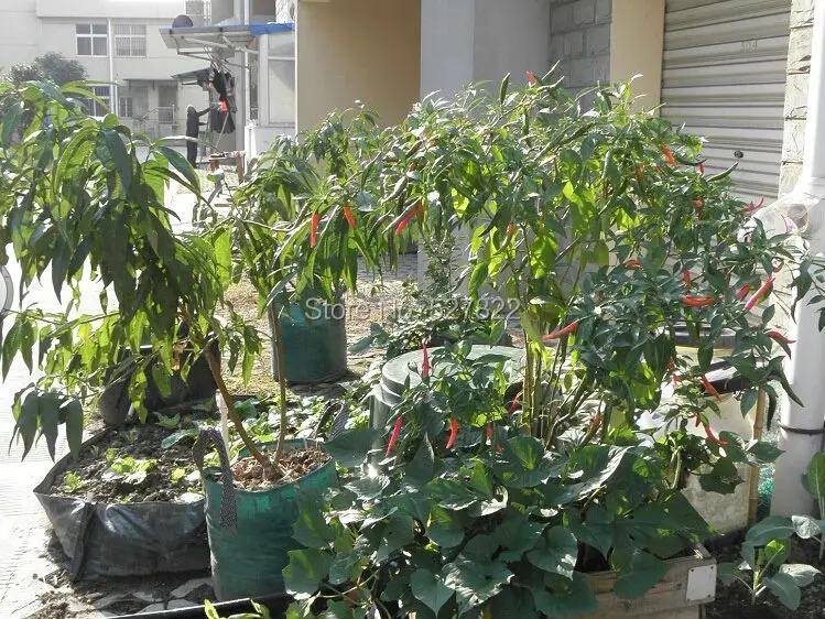 QQ20140618095847