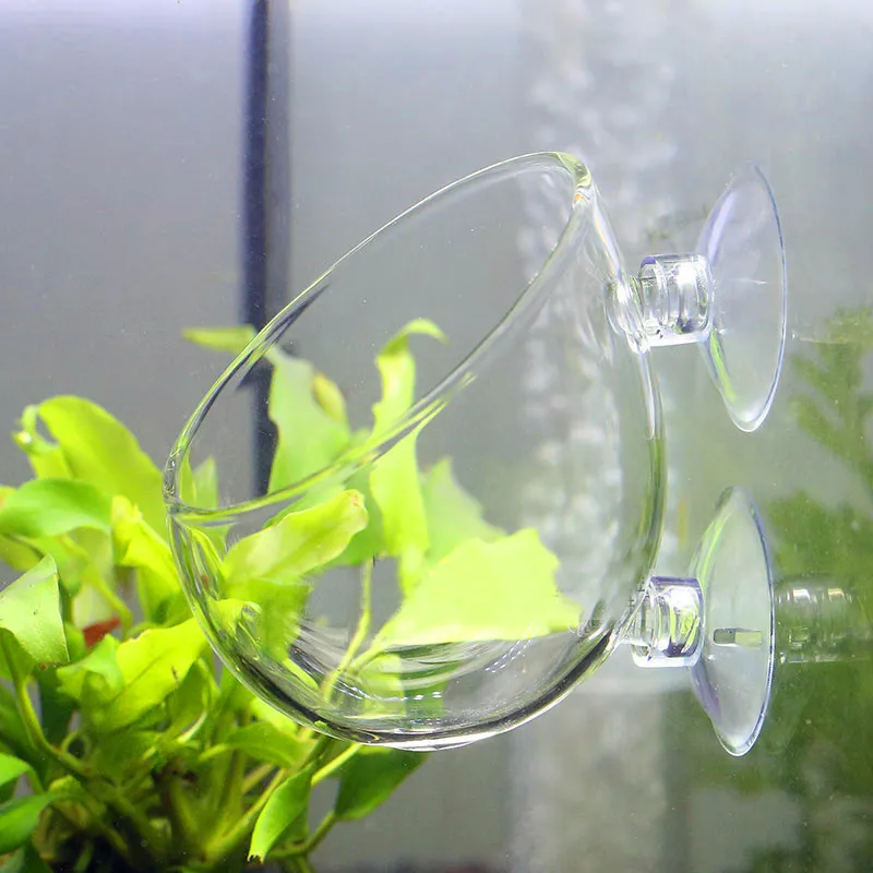 Мини аквариум живая чашка для растений пейзаж растения бассейн для выращивания чашка для воды Кормление бассейна украшения