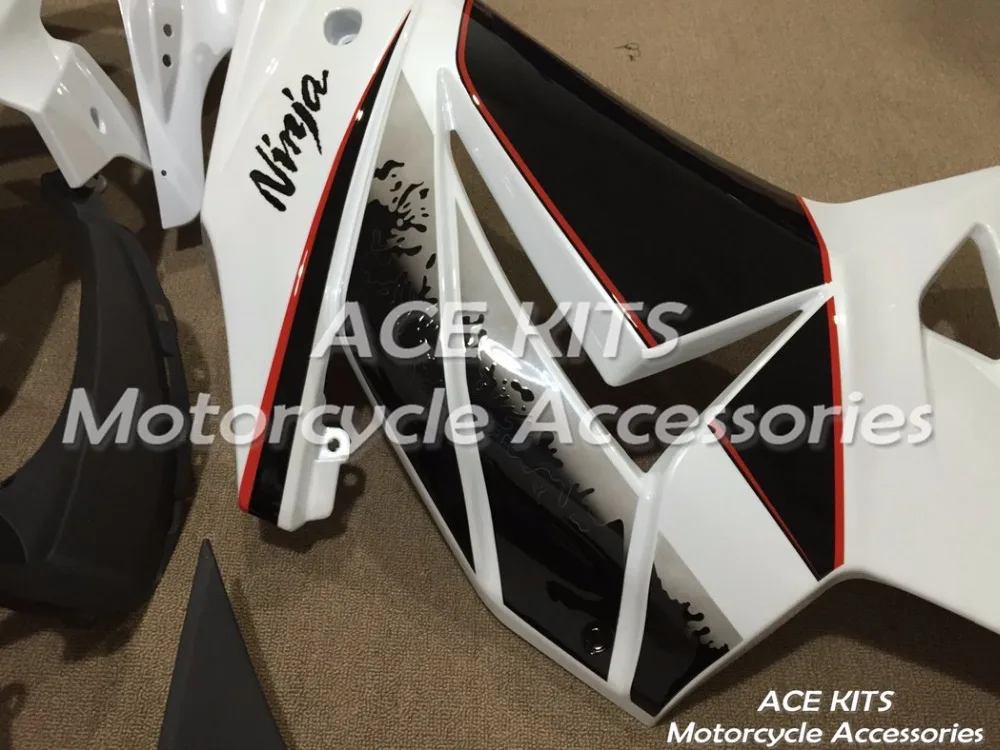 NINJA250 08-12 (125)