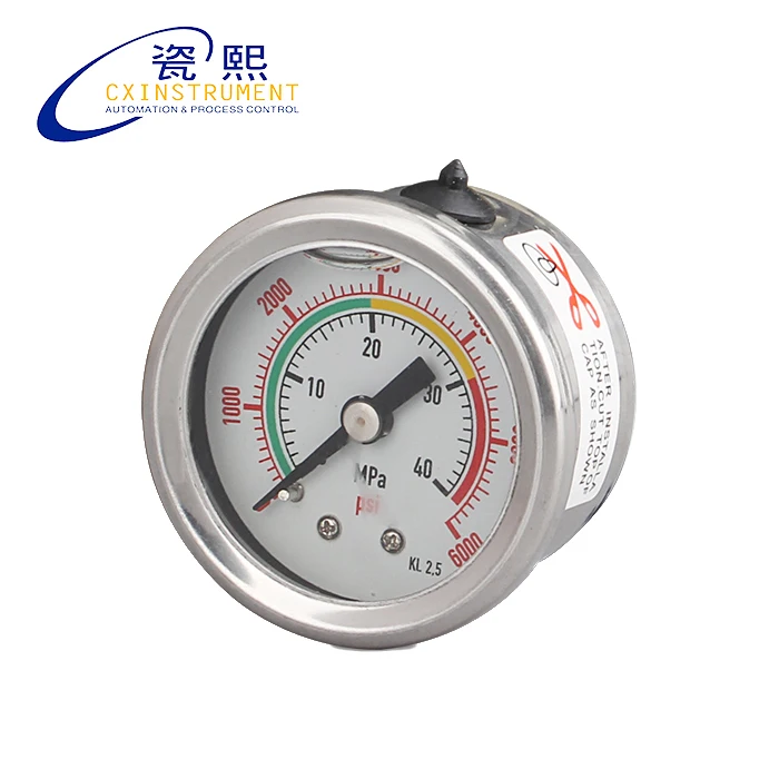 Stainless steel pressure gauge 19
