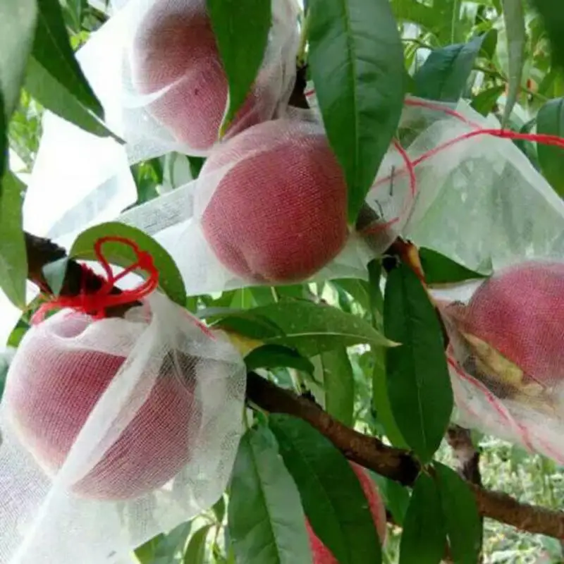 

10pcs/lot Garden Pots Planters Grow Bags Against Insect Pest Bird Plant Fruit Protect Drawstring Net Bag DropShipping #0526