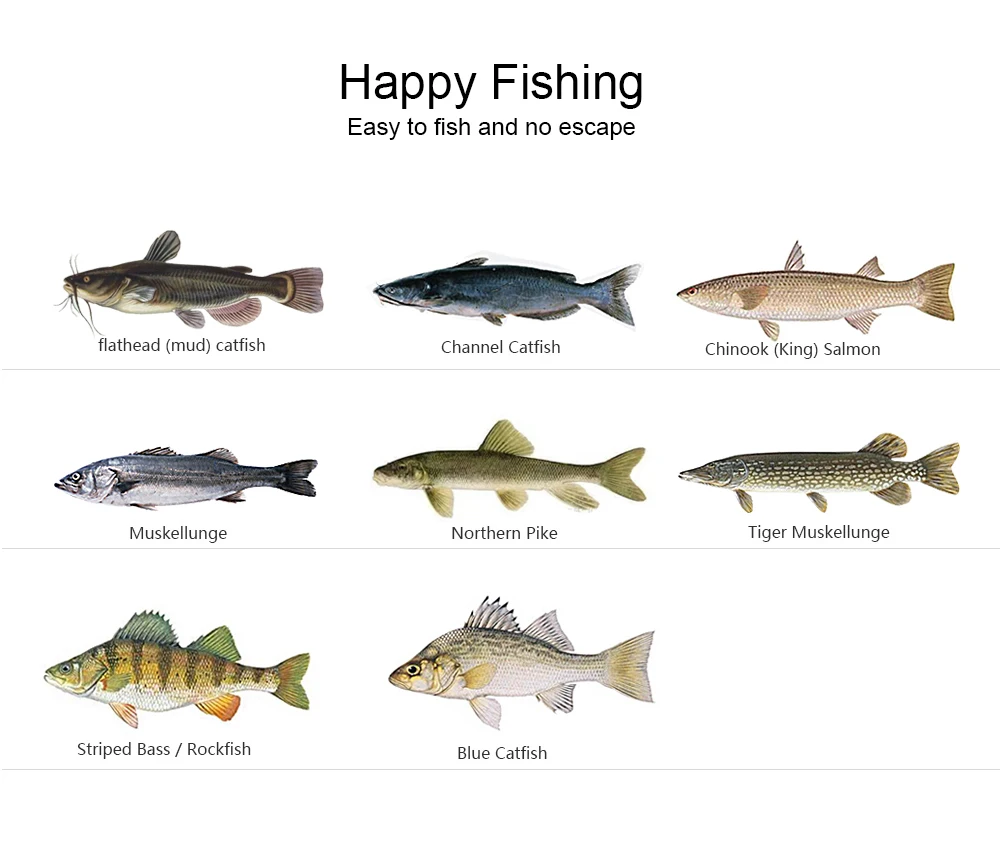 0_09