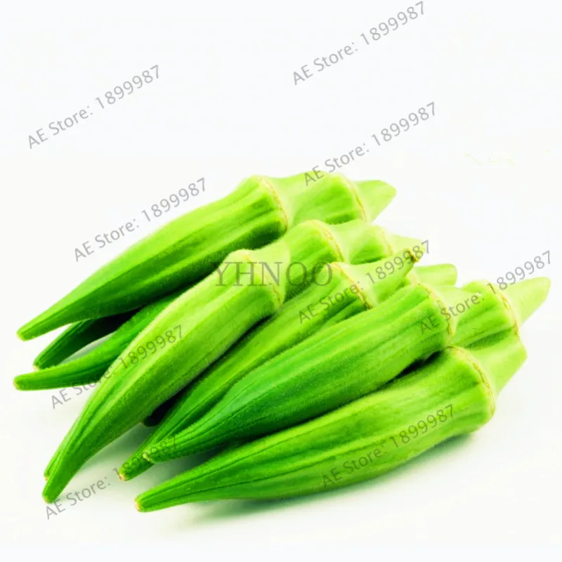 

Okra bonsai,Organic Non GMO Okra flores for home and garden for home and garden potted plants,30pcs/bag