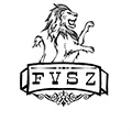 Shop FYSZ Car Light Store