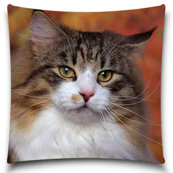 

The bearded fat cat Pillow Case of Christmas gift Home Office Decal /Home Textile Gift Pillow Cover 5 size 9 style