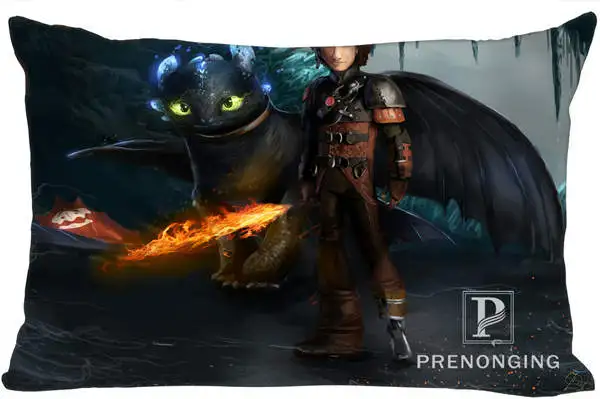 

Best Custom Pillow Case How to Train Your Dragon Rectangle Pillowcases zipper 35x45cm (One Side Print) @180117-134