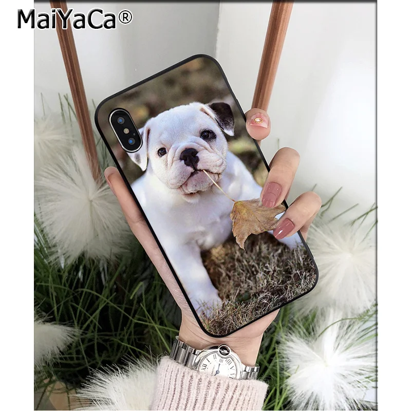Cute Anime Bulldog