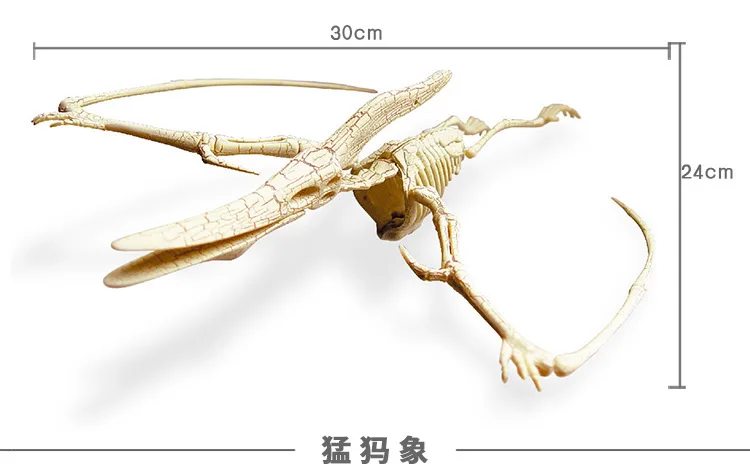 UKENN Dino fossil mold 18 26 см в длину каркасная модель динозавра 3D dino головоломки 7671|dino