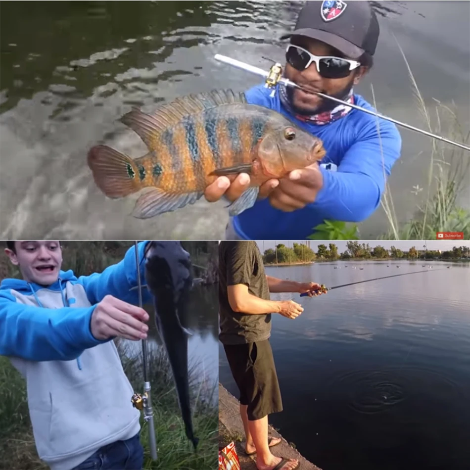 pike spinning rod and reel